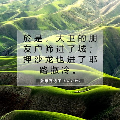 Picture 07 - 撒 母 耳 记 下 15:37 CUVS - 於 是 ， 大 卫 的 朋 友 户 筛 进 了 - Bible Verse Picture
