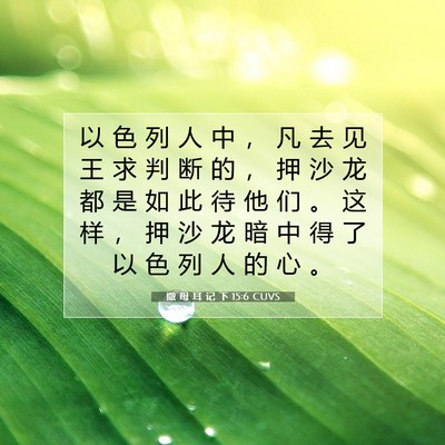 Picture 07 - 撒 母 耳 记 下 15:6 CUVS - 以 色 列 人 中 ， 凡 去 见 王 求 判 - Bible Verse Picture