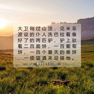 Picture 07 - 撒 母 耳 记 下 16:1 CUVS - 大 卫 刚 过 山 顶 ， 见 米 非 波 设 - Bible Verse Picture
