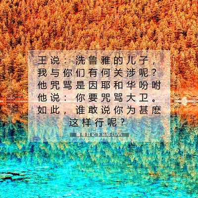 Picture 07 - 撒 母 耳 记 下 16:10 CUVS - 王 说 ： 洗 鲁 雅 的 儿 子 ， 我 与 - Bible Verse Picture