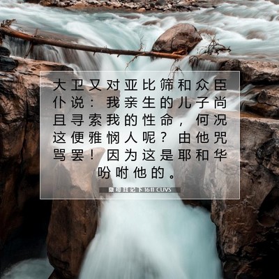Picture 07 - 撒 母 耳 记 下 16:11 CUVS - 大 卫 又 对 亚 比 筛 和 众 臣 仆 说 - Bible Verse Picture