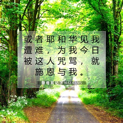 Picture 07 - 撒 母 耳 记 下 16:12 CUVS - 或 者 耶 和 华 见 我 遭 难 ， 为 我 - Bible Verse Picture