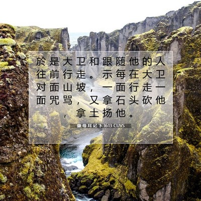 Picture 07 - 撒 母 耳 记 下 16:13 CUVS - 於 是 大 卫 和 跟 随 他 的 人 往 前 - Bible Verse Picture