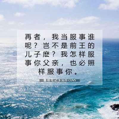 Picture 07 - 撒 母 耳 记 下 16:19 CUVS - 再 者 ， 我 当 服 事 谁 呢 ？ 岂 不 - Bible Verse Picture