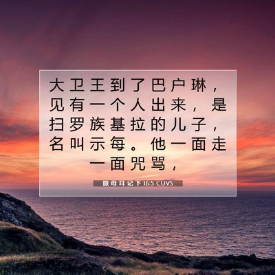 Picture 07 - 撒 母 耳 记 下 16:5 CUVS - 大 卫 王 到 了 巴 户 琳 ， 见 有 一 - Bible Verse Picture