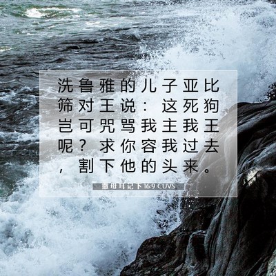 Picture 07 - 撒 母 耳 记 下 16:9 CUVS - 洗 鲁 雅 的 儿 子 亚 比 筛 对 王 说 - Bible Verse Picture