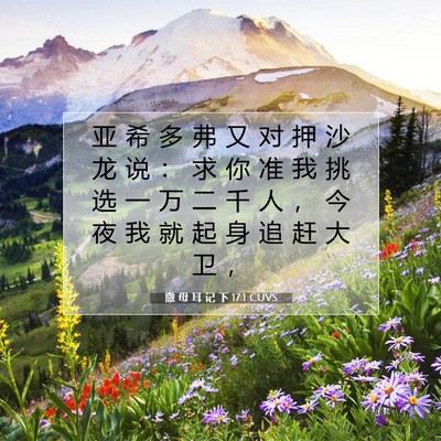 Picture 07 - 撒 母 耳 记 下 17:1 CUVS - 亚 希 多 弗 又 对 押 沙 龙 说 ： 求 - Bible Verse Picture