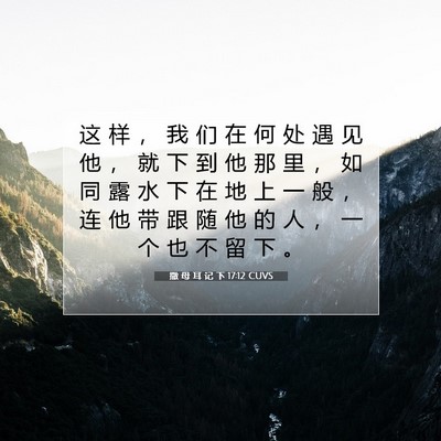 Picture 07 - 撒 母 耳 记 下 17:12 CUVS - 这 样 ， 我 们 在 何 处 遇 见 他 ， - Bible Verse Picture
