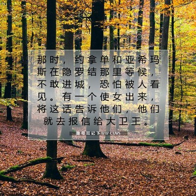 Picture 07 - 撒 母 耳 记 下 17:17 CUVS - 那 时 ， 约 拿 单 和 亚 希 玛 斯 在 - Bible Verse Picture