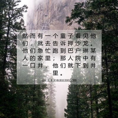 Picture 07 - 撒 母 耳 记 下 17:18 CUVS - 然 而 有 一 个 童 子 看 见 他 们 ， - Bible Verse Picture