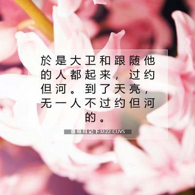 Picture 07 - 撒 母 耳 记 下 17:22 CUVS - 於 是 大 卫 和 跟 随 他 的 人 都 起 - Bible Verse Picture