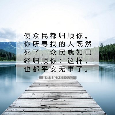 Picture 07 - 撒 母 耳 记 下 17:3 CUVS - 使 众 民 都 归 顺 你 。 你 所 寻 找 - Bible Verse Picture