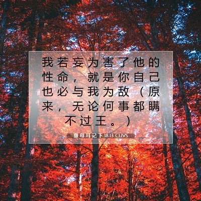 Picture 07 - 撒 母 耳 记 下 18:13 CUVS - 我 若 妄 为 害 了 他 的 性 命 ， 就 - Bible Verse Picture