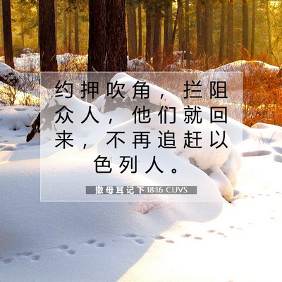 Picture 07 - 撒 母 耳 记 下 18:16 CUVS - 约 押 吹 角 ， 拦 阻 众 人 ， 他 们 - Bible Verse Picture