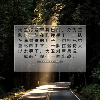 Picture 07 - 撒 母 耳 记 下 18:2 CUVS - 大 卫 打 发 军 兵 出 战 ， 分 为 三 - Bible Verse Picture