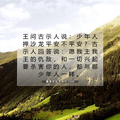 Picture 07 - 撒 母 耳 记 下 18:32 CUVS - 王 问 古 示 人 说 ： 少 年 人 押 沙 - Bible Verse Picture