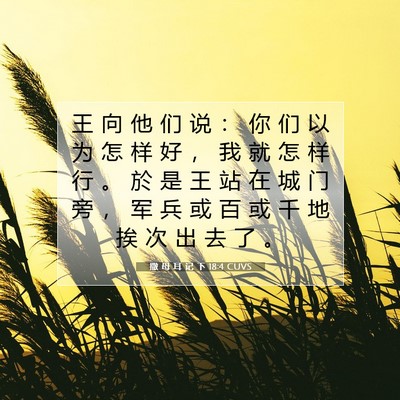Picture 07 - 撒 母 耳 记 下 18:4 CUVS - 王 向 他 们 说 ： 你 们 以 为 怎 样 - Bible Verse Picture