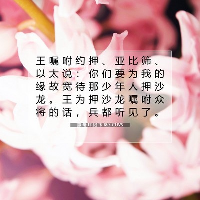 Picture 07 - 撒 母 耳 记 下 18:5 CUVS - 王 嘱 咐 约 押 、 亚 比 筛 、 以 太 - Bible Verse Picture