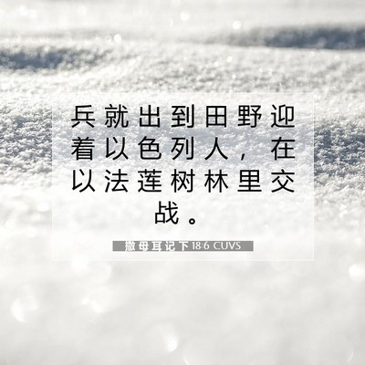 Picture 07 - 撒 母 耳 记 下 18:6 CUVS - 兵 就 出 到 田 野 迎 着 以 色 列 人 - Bible Verse Picture