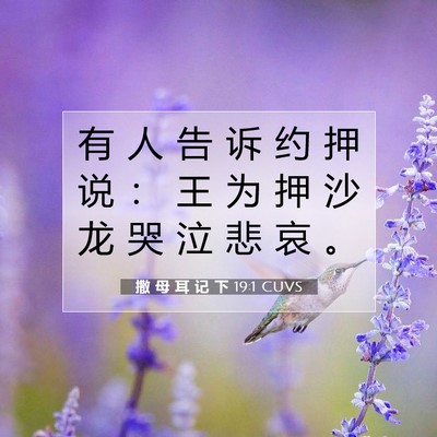 Picture 07 - 撒 母 耳 记 下 19:1 CUVS - 有 人 告 诉 约 押 说 ： 王 为 押 沙 - Bible Verse Picture