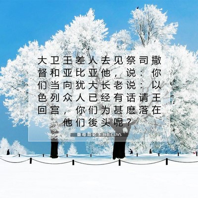 Picture 07 - 撒 母 耳 记 下 19:11 CUVS - 大 卫 王 差 人 去 见 祭 司 撒 督 和 - Bible Verse Picture