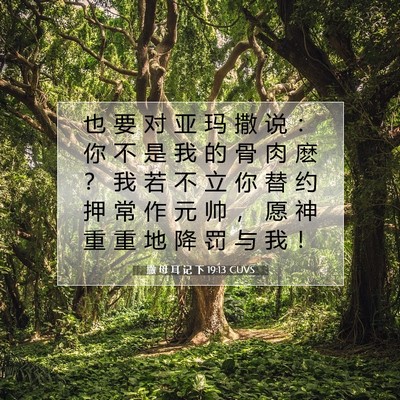 Picture 07 - 撒 母 耳 记 下 19:13 CUVS - 也 要 对 亚 玛 撒 说 ： 你 不 是 我 - Bible Verse Picture