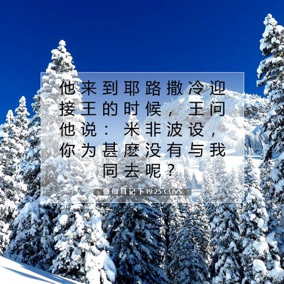 Picture 07 - 撒 母 耳 记 下 19:25 CUVS - 他 来 到 耶 路 撒 冷 迎 接 王 的 时 - Bible Verse Picture