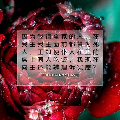 Picture 07 - 撒 母 耳 记 下 19:28 CUVS - 因 为 我 祖 全 家 的 人 ， 在 我 主 - Bible Verse Picture