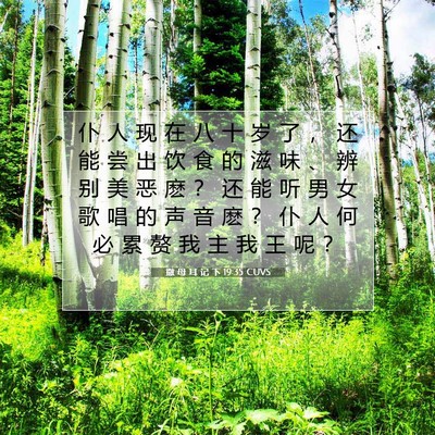 Picture 07 - 撒 母 耳 记 下 19:35 CUVS - 仆 人 现 在 八 十 岁 了 ， 还 能 尝 - Bible Verse Picture