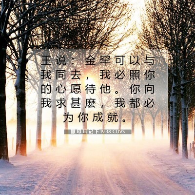 Picture 07 - 撒 母 耳 记 下 19:38 CUVS - 王 说 ： 金 罕 可 以 与 我 同 去 ， - Bible Verse Picture