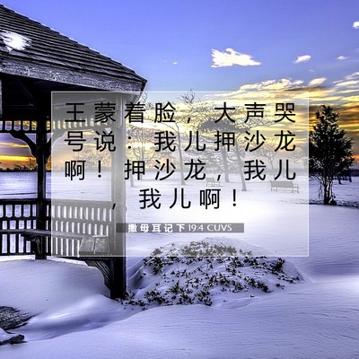 Picture 07 - 撒 母 耳 记 下 19:4 CUVS - 王 蒙 着 脸 ， 大 声 哭 号 说 ： 我 - Bible Verse Picture