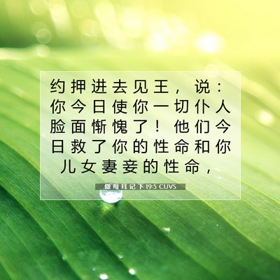 Picture 07 - 撒 母 耳 记 下 19:5 CUVS - 约 押 进 去 见 王 ， 说 ： 你 今 日 - Bible Verse Picture