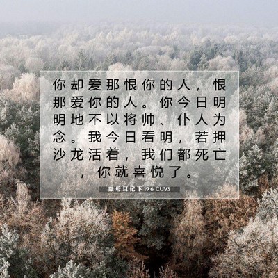 Picture 07 - 撒 母 耳 记 下 19:6 CUVS - 你 却 爱 那 恨 你 的 人 ， 恨 那 爱 - Bible Verse Picture