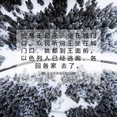 Picture 07 - 撒 母 耳 记 下 19:8 CUVS - 於 是 王 起 来 ， 坐 在 城 门 口 。 - Bible Verse Picture