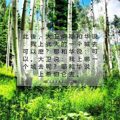 Picture 07 - 撒 母 耳 记 下 2:1 CUVS - 此 後 ， 大 卫 问 耶 和 华 说 ： 我 - Bible Verse Picture