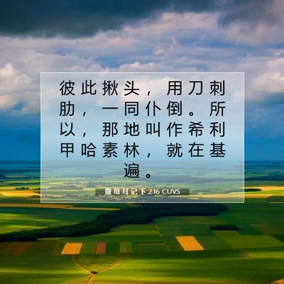 Picture 07 - 撒 母 耳 记 下 2:16 CUVS - 彼 此 揪 头 ， 用 刀 刺 肋 ， 一 同 - Bible Verse Picture
