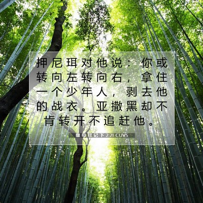 Picture 07 - 撒 母 耳 记 下 2:21 CUVS - 押 尼 珥 对 他 说 ： 你 或 转 向 左 - Bible Verse Picture