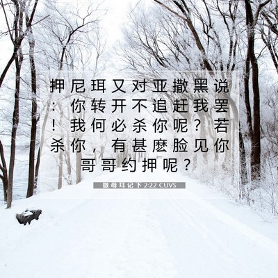 Picture 07 - 撒 母 耳 记 下 2:22 CUVS - 押 尼 珥 又 对 亚 撒 黑 说 ： 你 转 - Bible Verse Picture