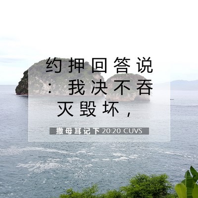 Picture 07 - 撒 母 耳 记 下 20:20 CUVS - 约 押 回 答 说 ： 我 决 不 吞 灭 毁 - Bible Verse Picture