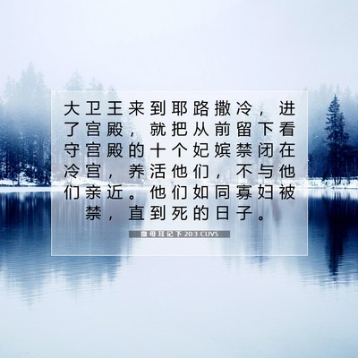 Picture 07 - 撒 母 耳 记 下 20:3 CUVS - 大 卫 王 来 到 耶 路 撒 冷 ， 进 了 - Bible Verse Picture