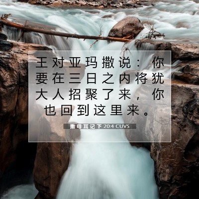 Picture 07 - 撒 母 耳 记 下 20:4 CUVS - 王 对 亚 玛 撒 说 ： 你 要 在 三 日 - Bible Verse Picture