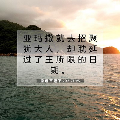 Picture 07 - 撒 母 耳 记 下 20:5 CUVS - 亚 玛 撒 就 去 招 聚 犹 大 人 ， 却 - Bible Verse Picture