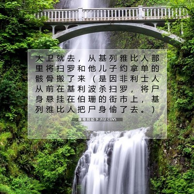 Picture 07 - 撒 母 耳 记 下 21:12 CUVS - 大 卫 就 去 ， 从 基 列 雅 比 人 那 - Bible Verse Picture