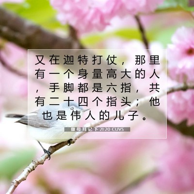 Picture 07 - 撒 母 耳 记 下 21:20 CUVS - 又 在 迦 特 打 仗 ， 那 里 有 一 个 - Bible Verse Picture