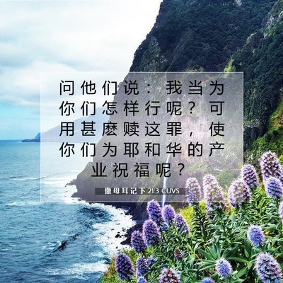 Picture 07 - 撒 母 耳 记 下 21:3 CUVS - 问 他 们 说 ： 我 当 为 你 们 怎 样 - Bible Verse Picture