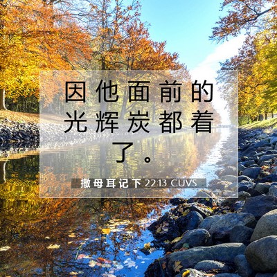 Picture 07 - 撒 母 耳 记 下 22:13 CUVS - 因 他 面 前 的 光 辉 炭 都 着 了 - Bible Verse Picture