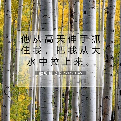 Picture 07 - 撒 母 耳 记 下 22:17 CUVS - 他 从 高 天 伸 手 抓 住 我 ， 把 我 - Bible Verse Picture