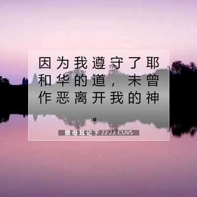Picture 07 - 撒 母 耳 记 下 22:22 CUVS - 因 为 我 遵 守 了 耶 和 华 的 道 ， - Bible Verse Picture