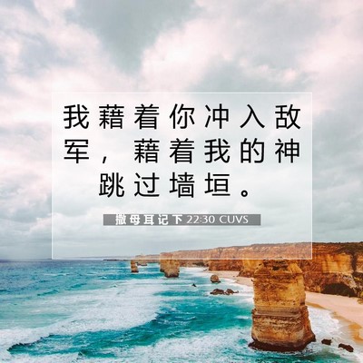 Picture 07 - 撒 母 耳 记 下 22:30 CUVS - 我 藉 着 你 冲 入 敌 军 ， 藉 着 我 - Bible Verse Picture