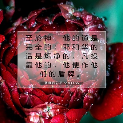 Picture 07 - 撒 母 耳 记 下 22:31 CUVS - 至 於 神 ， 他 的 道 是 完 全 的 ； - Bible Verse Picture